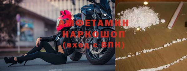 шишки Новокубанск
