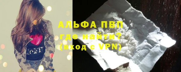 шишки Новокубанск