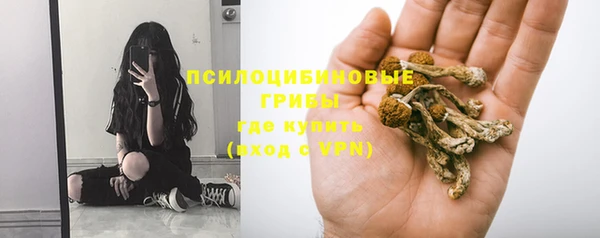 apvp Новодвинск