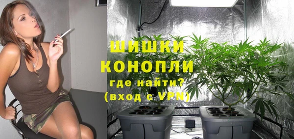 МДПВ Бежецк