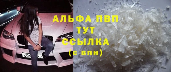 шишки Новокубанск