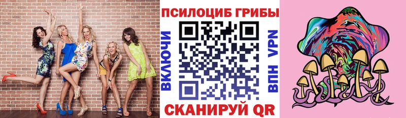 Галлюциногенные грибы Psilocybe  Якутск 