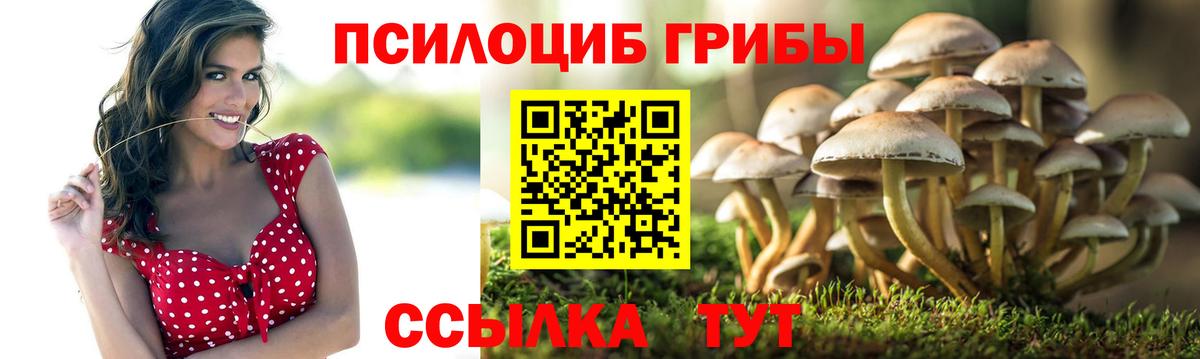 Якутск  Псилоцибиновые грибы GOLDEN TEACHER  Вход с VPN 